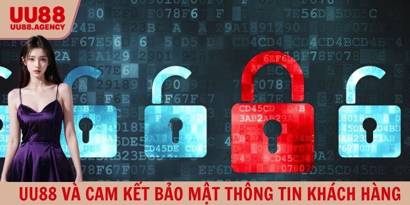 Cam kết bảo mật tất cả dữ liệu cá nhân tại máy chủ của nền tảng