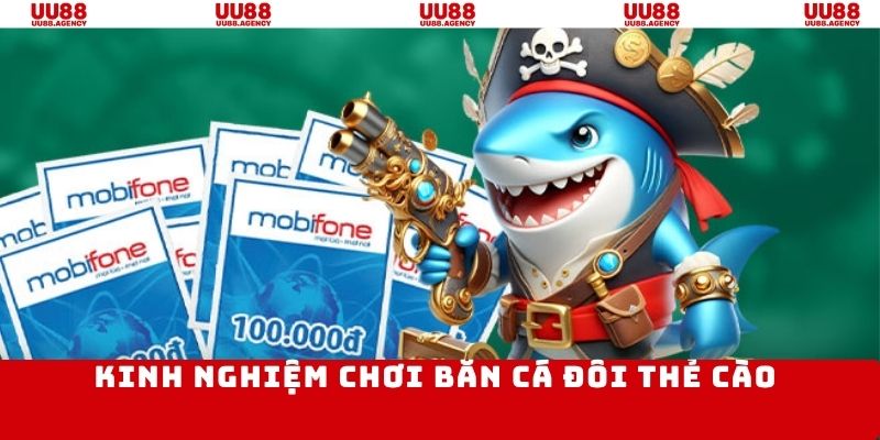 Bí quyết săn cá chuẩn xác từ các bậc thầy hàng đầu
